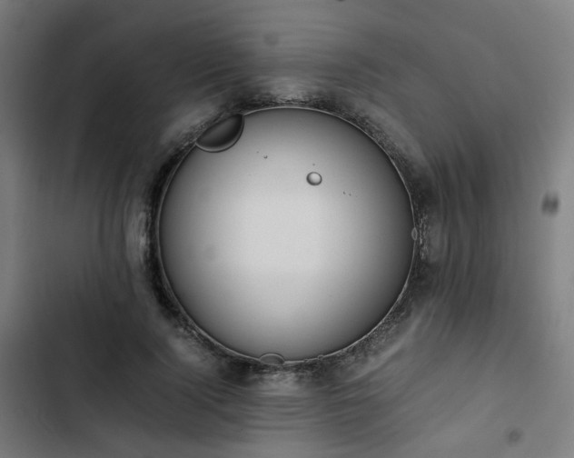 X0000103270740200809051507