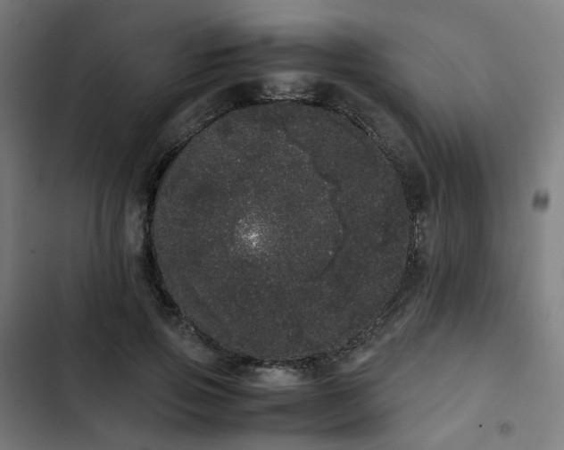 X0000103270741200809051507
