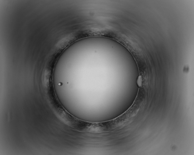 X0000103270742200809051507