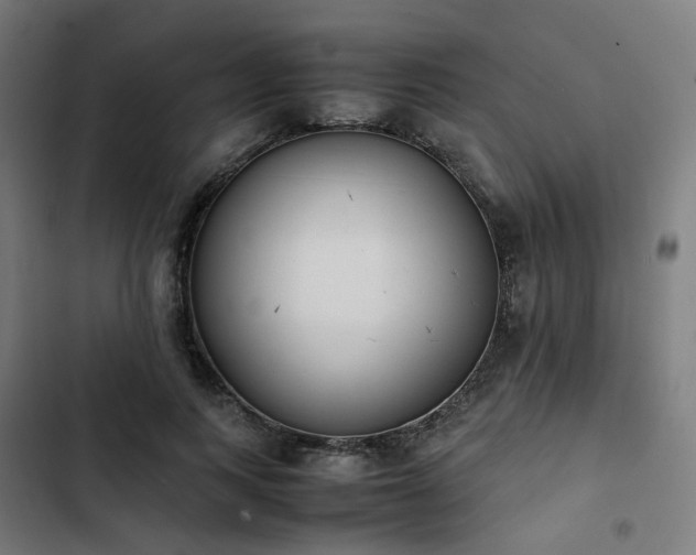 X0000103270743200809051507