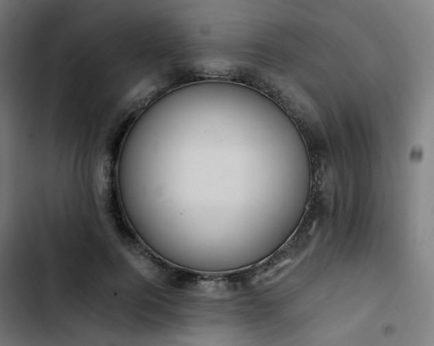 X0000103270744200809051507