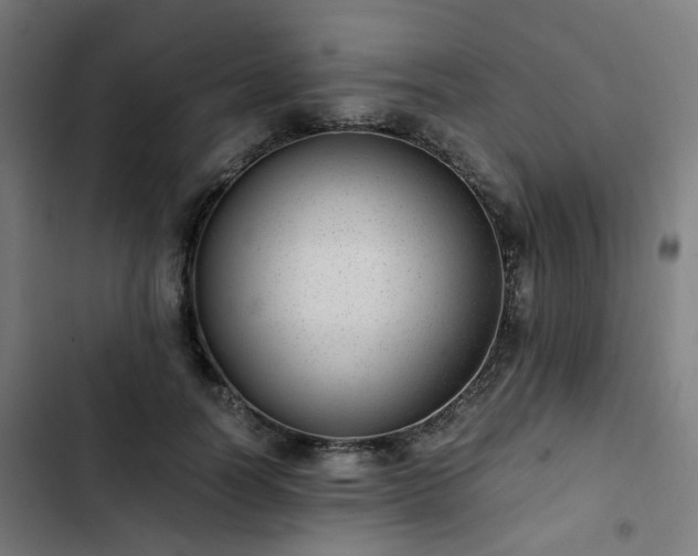 X0000103270746200809051507