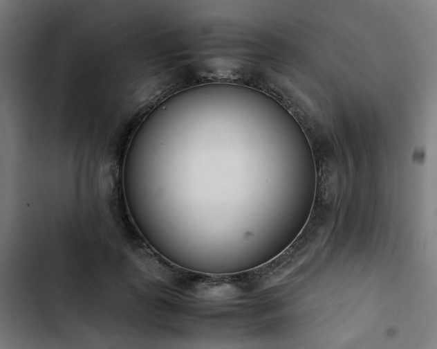 X0000103270747200809051507