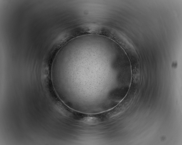 X0000103270748200809051507