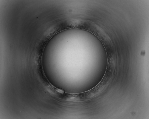 X0000103270750200809051507