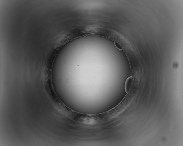X0000103270751200809051507