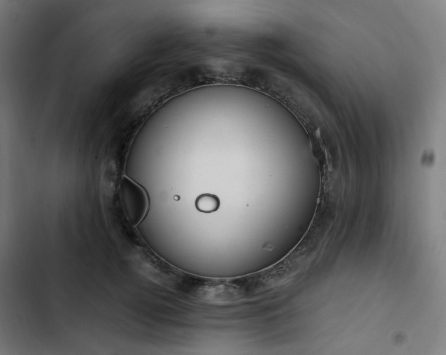 X0000103270752200809051507