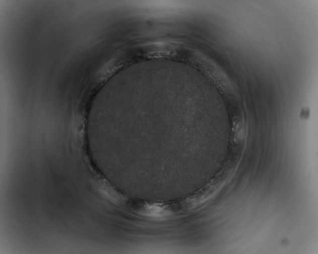 X0000103270753200809051507