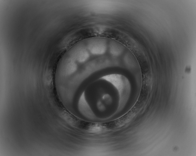 X0000103270754200809051507