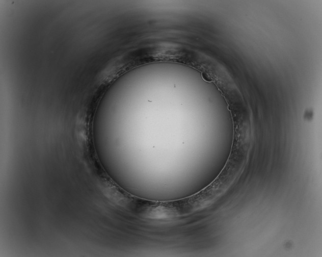 X0000103270755200809051507