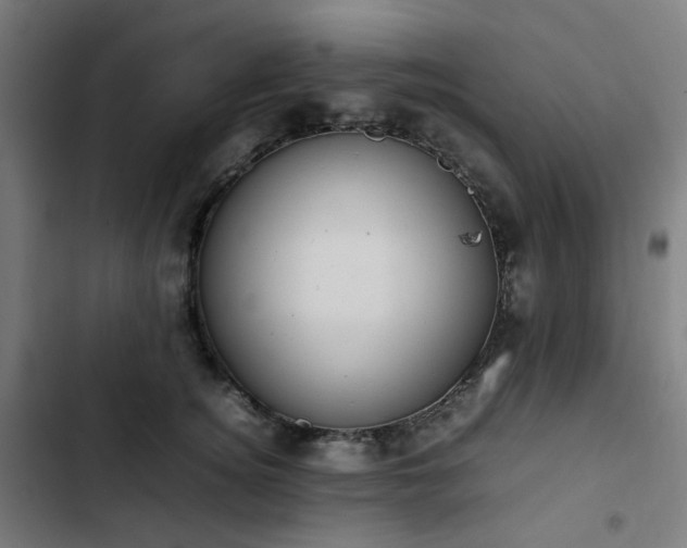 X0000103270756200809051507