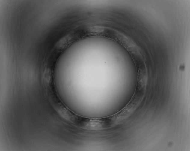 X0000103270758200809051507