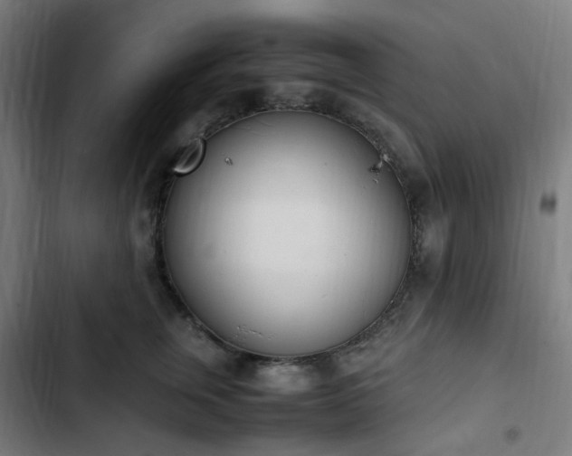 X0000103270759200809051507