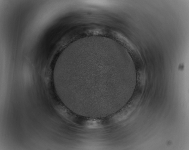 X0000103270760200809051507