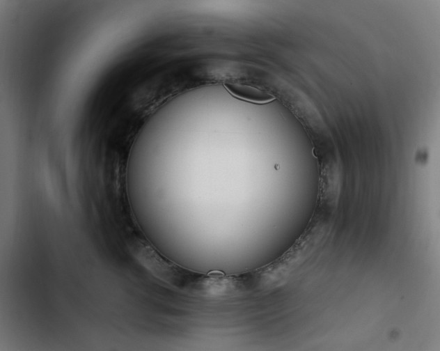 X0000103270762200809051507