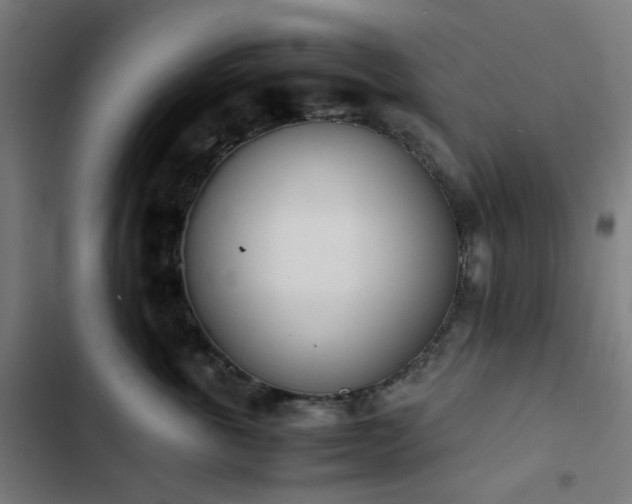 X0000103270763200809051507
