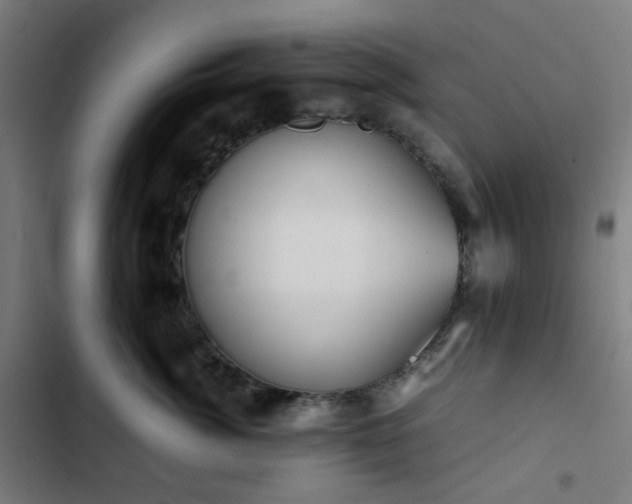 X0000103270764200809051507