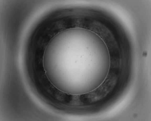 X0000103270766200809051507