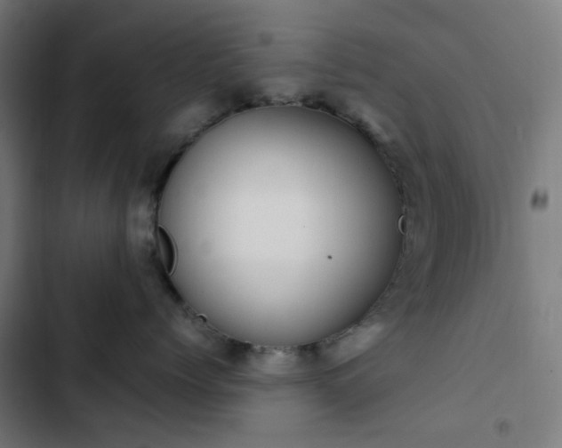 X0000103270768200809051507