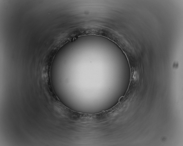 X0000103270771200809051506