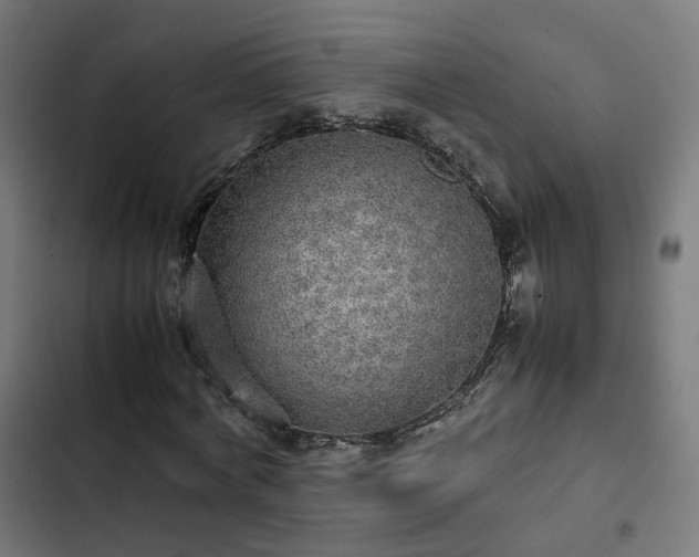 X0000103270772200809051506