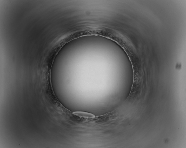 X0000103270773200809051506