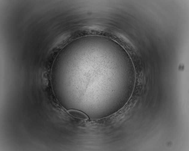 X0000103270774200809051506