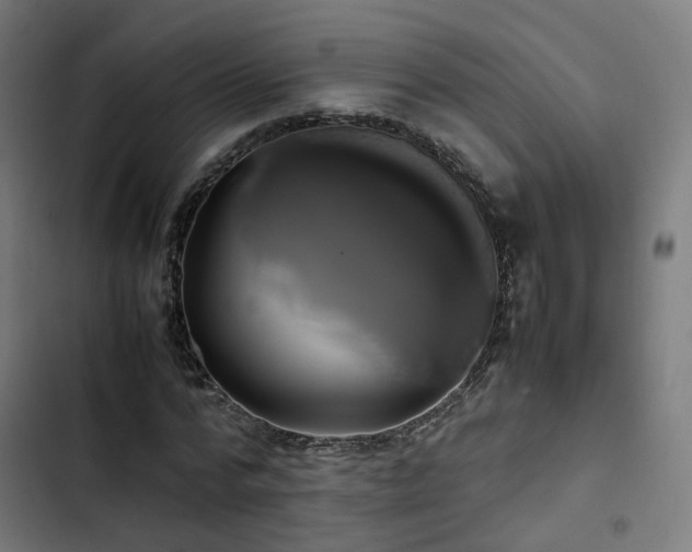 X0000103270776200809051506
