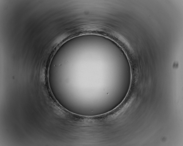 X0000103270777200809051506