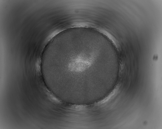 X0000103270778200809051506