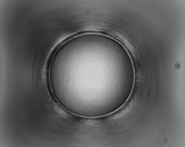 X0000103270779200809051506