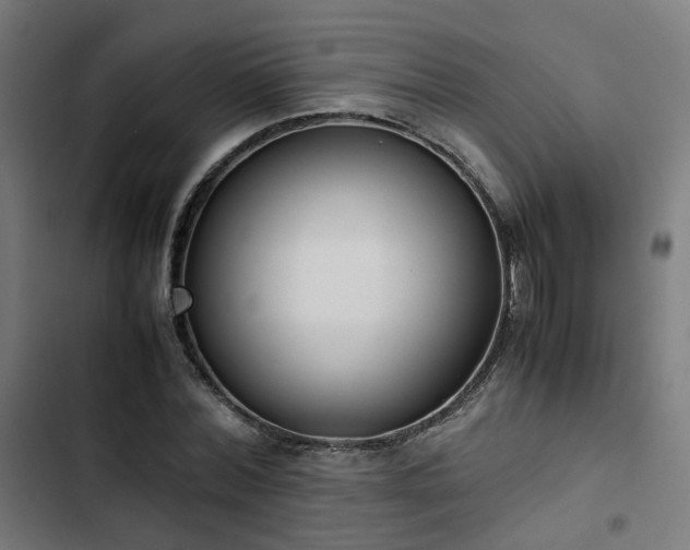 X0000103270780200809051506