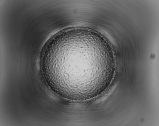 X0000103270781200809051506