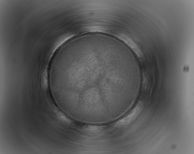 X0000103270782200809051506