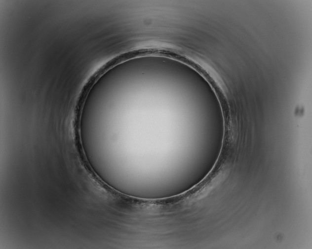 X0000103270783200809051506