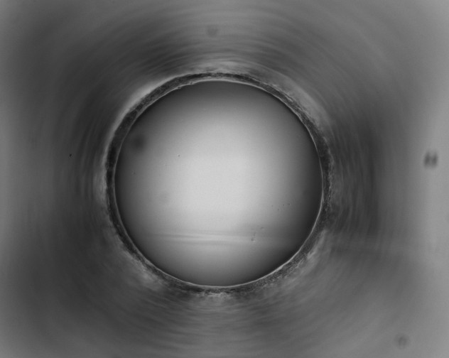 X0000103270784200809051506