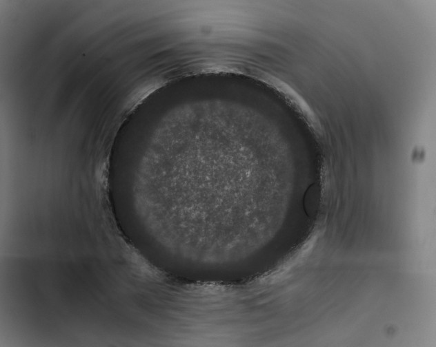 X0000103270785200809051506