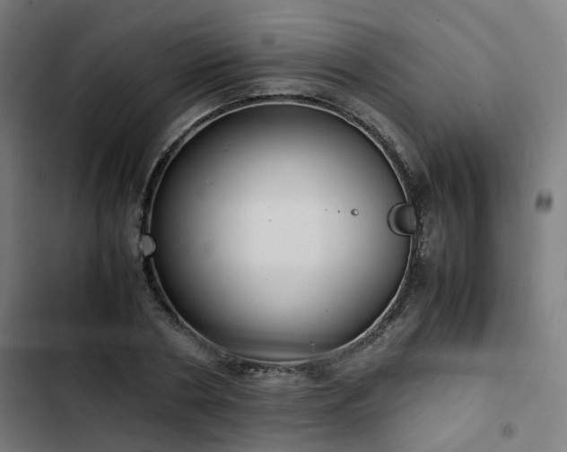 X0000103270786200809051506