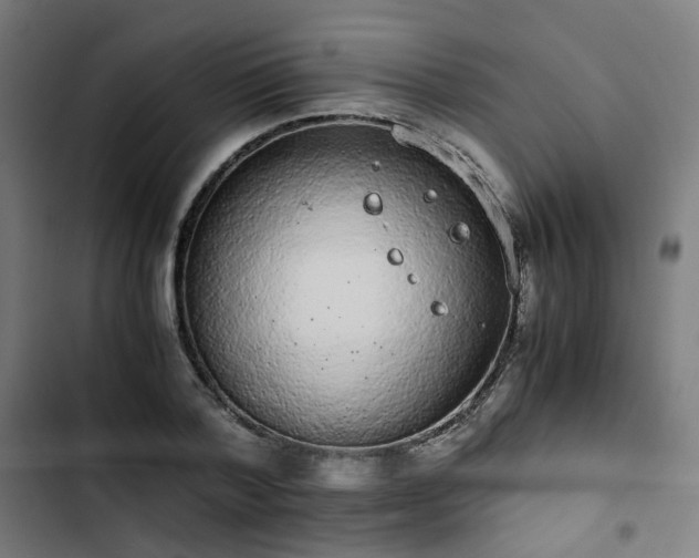 X0000103270788200809051506