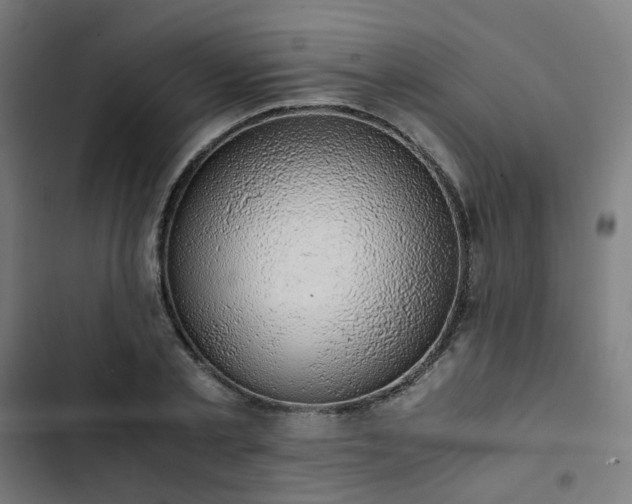 X0000103270789200809051506
