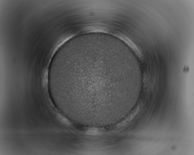 X0000103270790200809051506