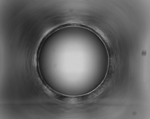 X0000103270791200809051506