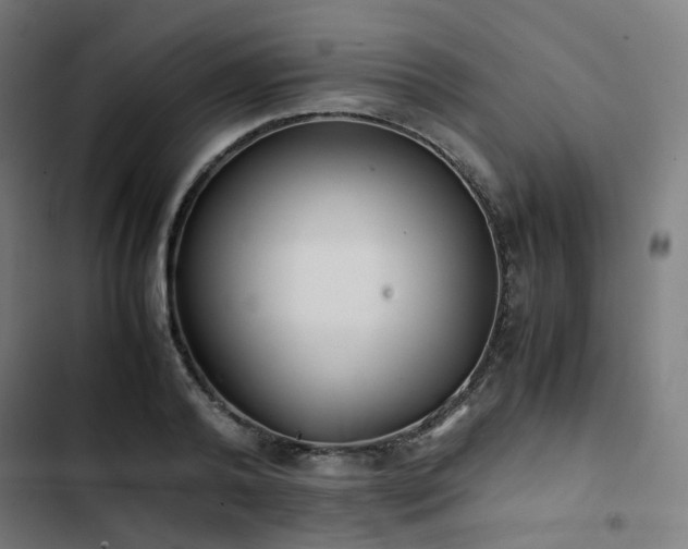 X0000103270792200809051506