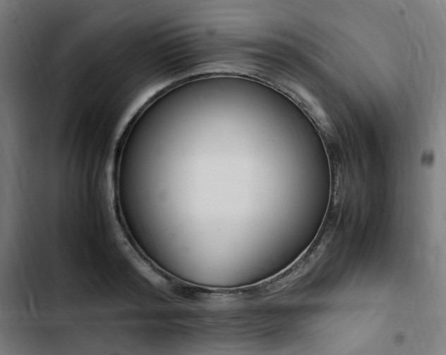 X0000103270796200809051506