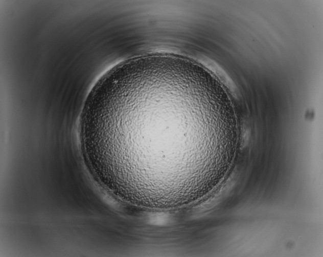 X0000103270798200809051506