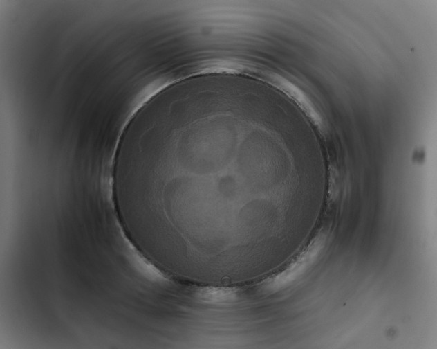 X0000103270802200809051506