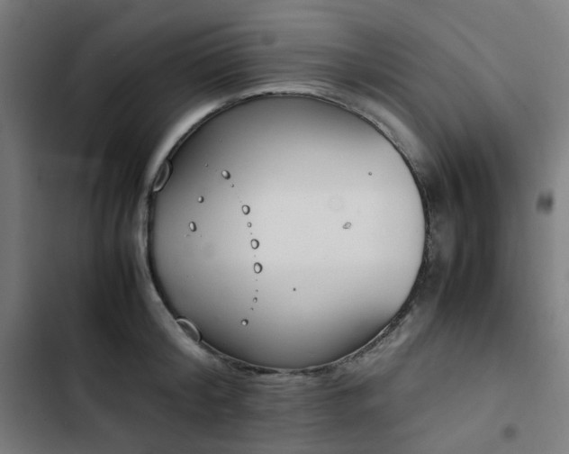 X0000103270804200809051506