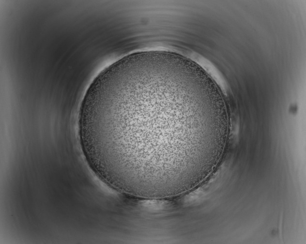 X0000103270805200809051506