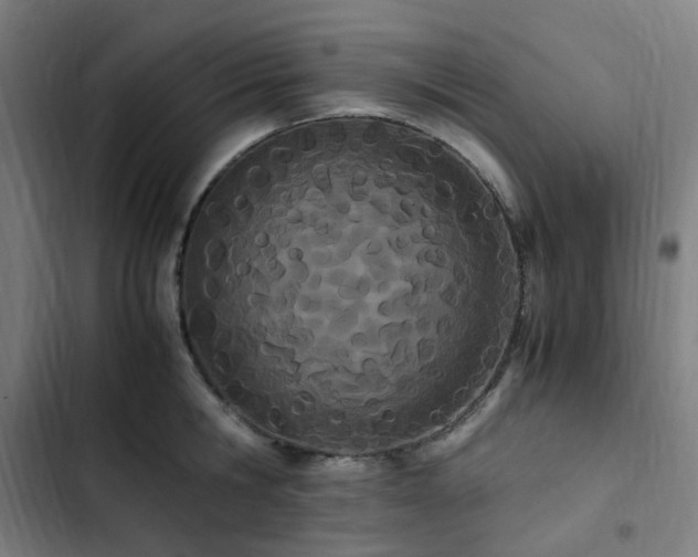 X0000103270806200809051506