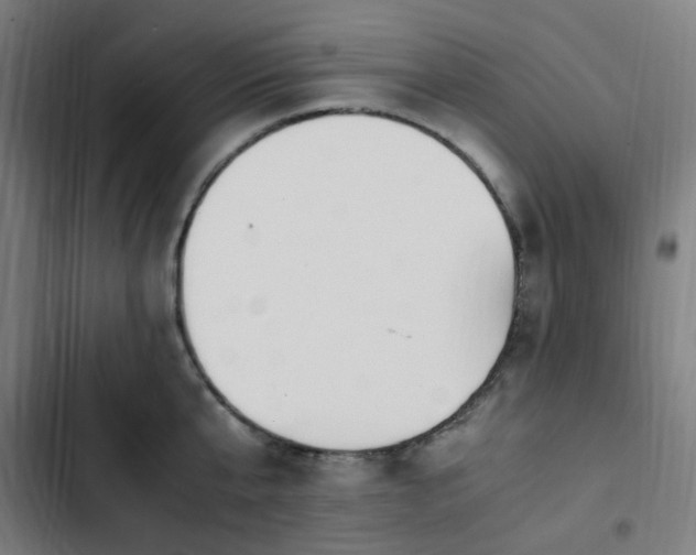 X0000103270807200809051505